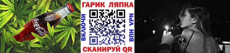 мега tor  Кингисепп  Cannafood марихуана  где купить наркоту 