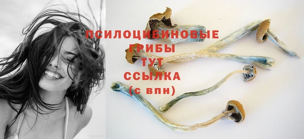 ПСИЛОЦИБИНОВЫЕ ГРИБЫ Верхнеуральск