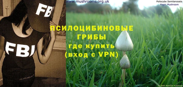 ПСИЛОЦИБИНОВЫЕ ГРИБЫ Верхнеуральск