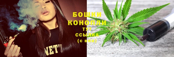 ПСИЛОЦИБИНОВЫЕ ГРИБЫ Верхнеуральск