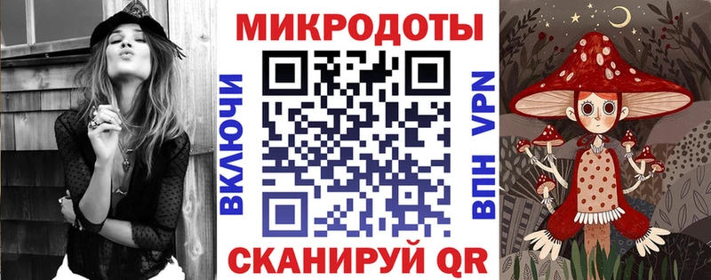 где купить наркотик  Кингисепп  Псилоцибиновые грибы Psilocybe 