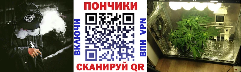Канабис сатива  закладки  Кингисепп 